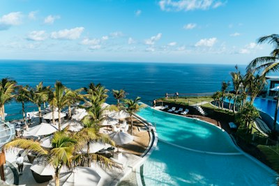 Pool and palms