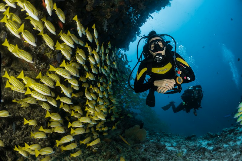 Snorkeling reef adventure